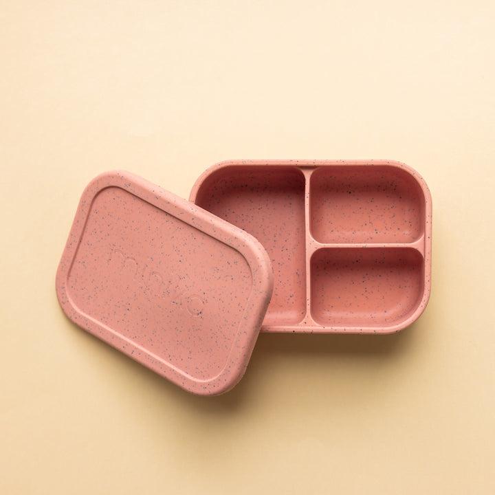 Boîte Bento Sorbet