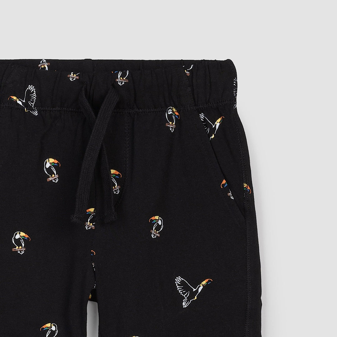 Short Toucans  4 ans