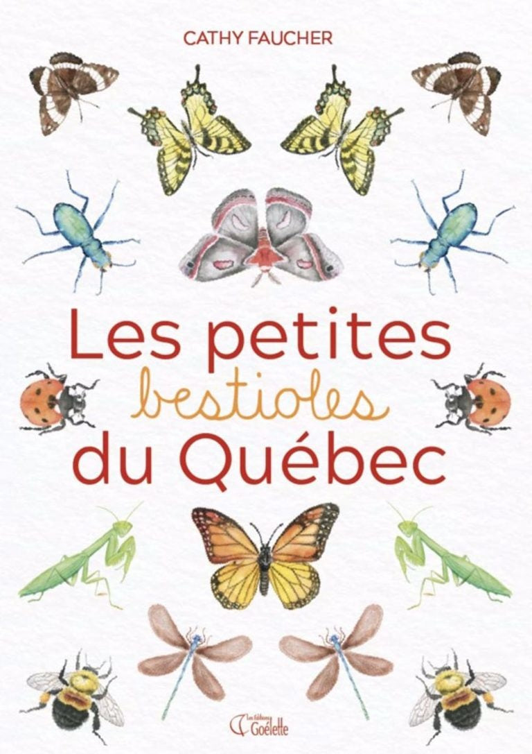 Les petites bestioles du Québec