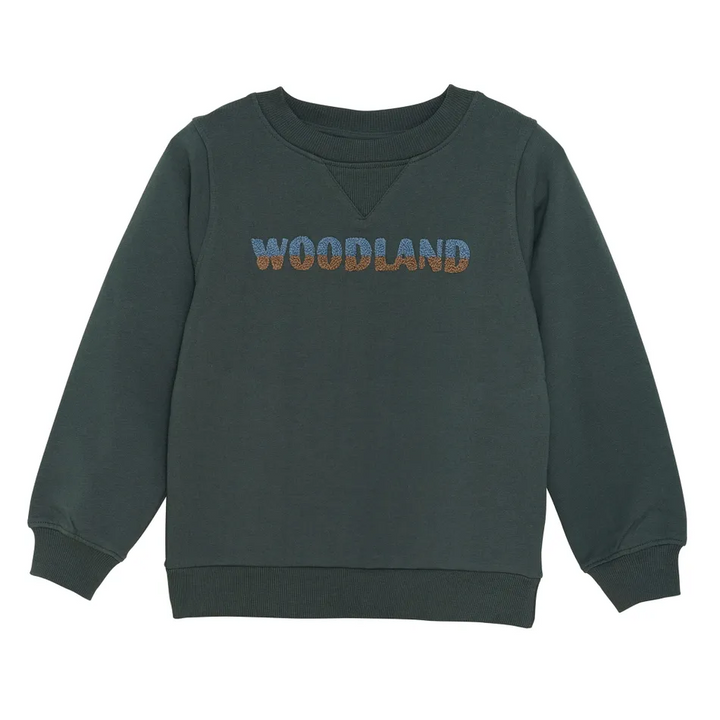 Chandail vert woodland 2 ans