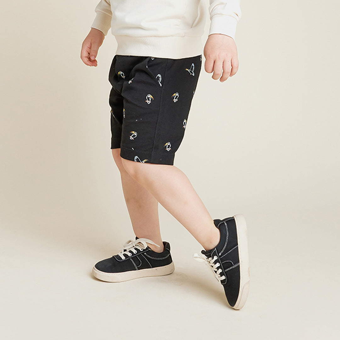 Short Toucans  3 ans